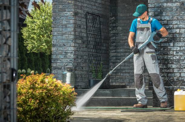 Best Building Exterior Pressure Washing in Springfield, GA