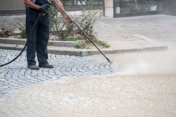 Best Fence Cleaning and Maintenance in Springfield, GA