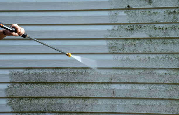 Best Soft Washing for Delicate Surfaces in Springfield, GA