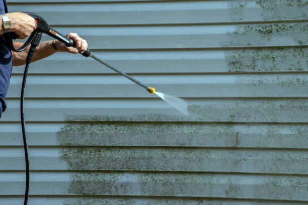 Best Concrete Surface Cleaning in Springfield, GA